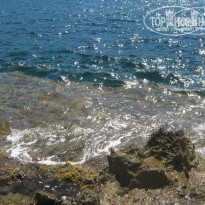 фото из отзыва ID 255116