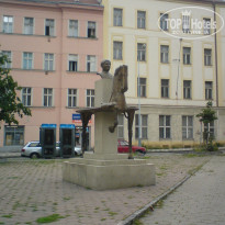 фото из отзыва ID 255501