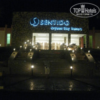 фото из отзыва ID 255559