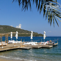 фото из отзыва ID 255934