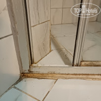 фото из отзыва ID 2559790