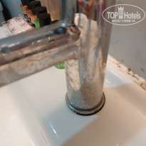 фото из отзыва ID 2559790