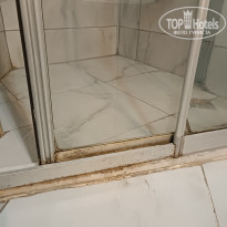 фото из отзыва ID 2559790