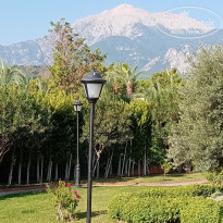 фото из отзыва ID 2559847