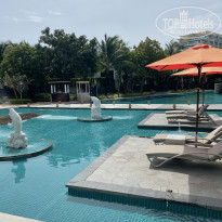 фото из отзыва ID 2559940