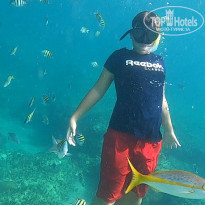 фото из отзыва ID 2559768