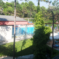 фото из отзыва ID 256214