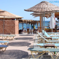 фото из отзыва ID 256334