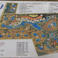 фото из отзыва ID 256383