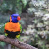 фото из отзыва ID 256761