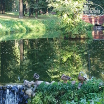 фото из отзыва ID 2560007