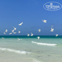 фото из отзыва ID 2560086