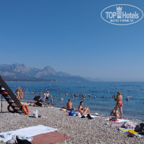 фото из отзыва ID 2560200