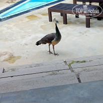 фото из отзыва ID 2560539