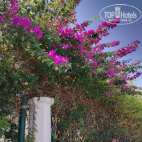 фото из отзыва ID 2560538