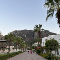 фото из отзыва ID 2560587