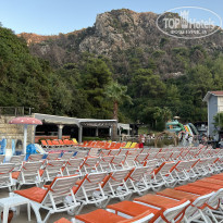 фото из отзыва ID 2560587