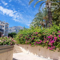 фото из отзыва ID 2560832