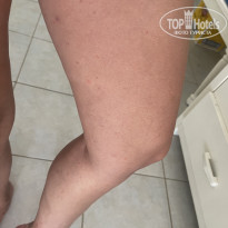 фото из отзыва ID 2560936