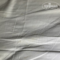 фото из отзыва ID 2560936