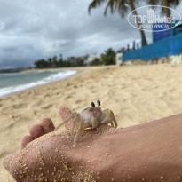 фото из отзыва ID 2560957