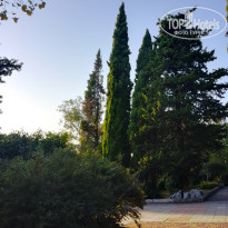 фото из отзыва ID 2560947