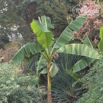 фото из отзыва ID 2560947