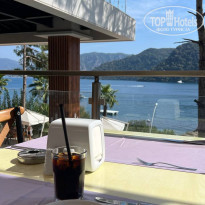 фото из отзыва ID 2561044