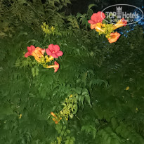 фото из отзыва ID 2561051