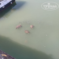 фото из отзыва ID 2561051