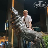 фото из отзыва ID 2561060