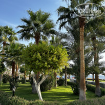 фото из отзыва ID 2560170