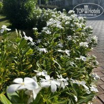 фото из отзыва ID 2560170