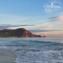 фото из отзыва ID 2561377