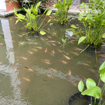 фото из отзыва ID 2561420