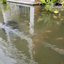 фото из отзыва ID 2561420