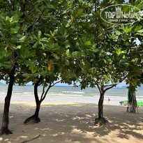 фото из отзыва ID 2561420