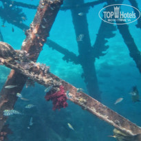 фото из отзыва ID 2561430