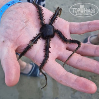 фото из отзыва ID 2561430