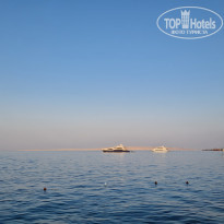 фото из отзыва ID 2561430