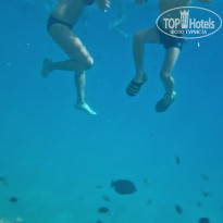 фото из отзыва ID 2561430