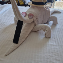 фото из отзыва ID 2561430