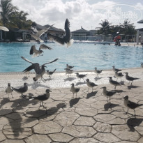 фото из отзыва ID 2561440