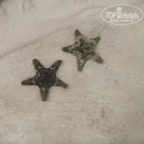 фото из отзыва ID 2561440