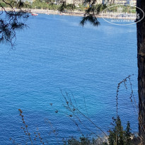 фото из отзыва ID 2561509