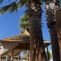 фото из отзыва ID 2561510