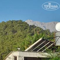 фото из отзыва ID 2561750