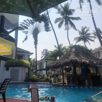 фото из отзыва ID 2561767