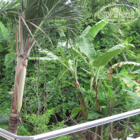 фото из отзыва ID 2561793