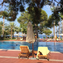 фото из отзыва ID 2561883